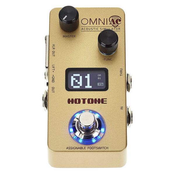 Hotone Omni AC dettaglio display OLED