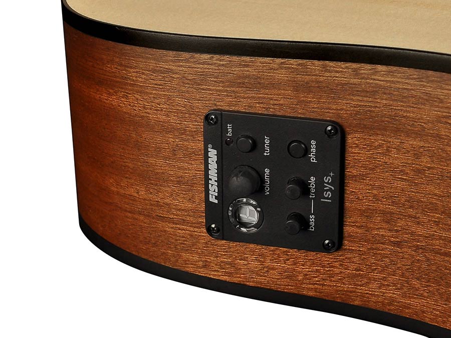 Richwood G-20-CE Acustica Elettrificata