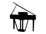 Echord GP10 Black Pianoforte Digitale Codino 88 Tasti Pesati