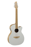 Applause Chitarra acustica AEO-69-6PS Jump Blank Canvas