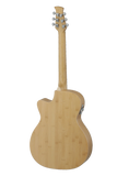 Applause Chitarra acustica AEO-69-6PS Jump Blank Canvas