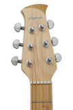 Applause Chitarra acustica AEO-69-6PS Jump Blank Canvas