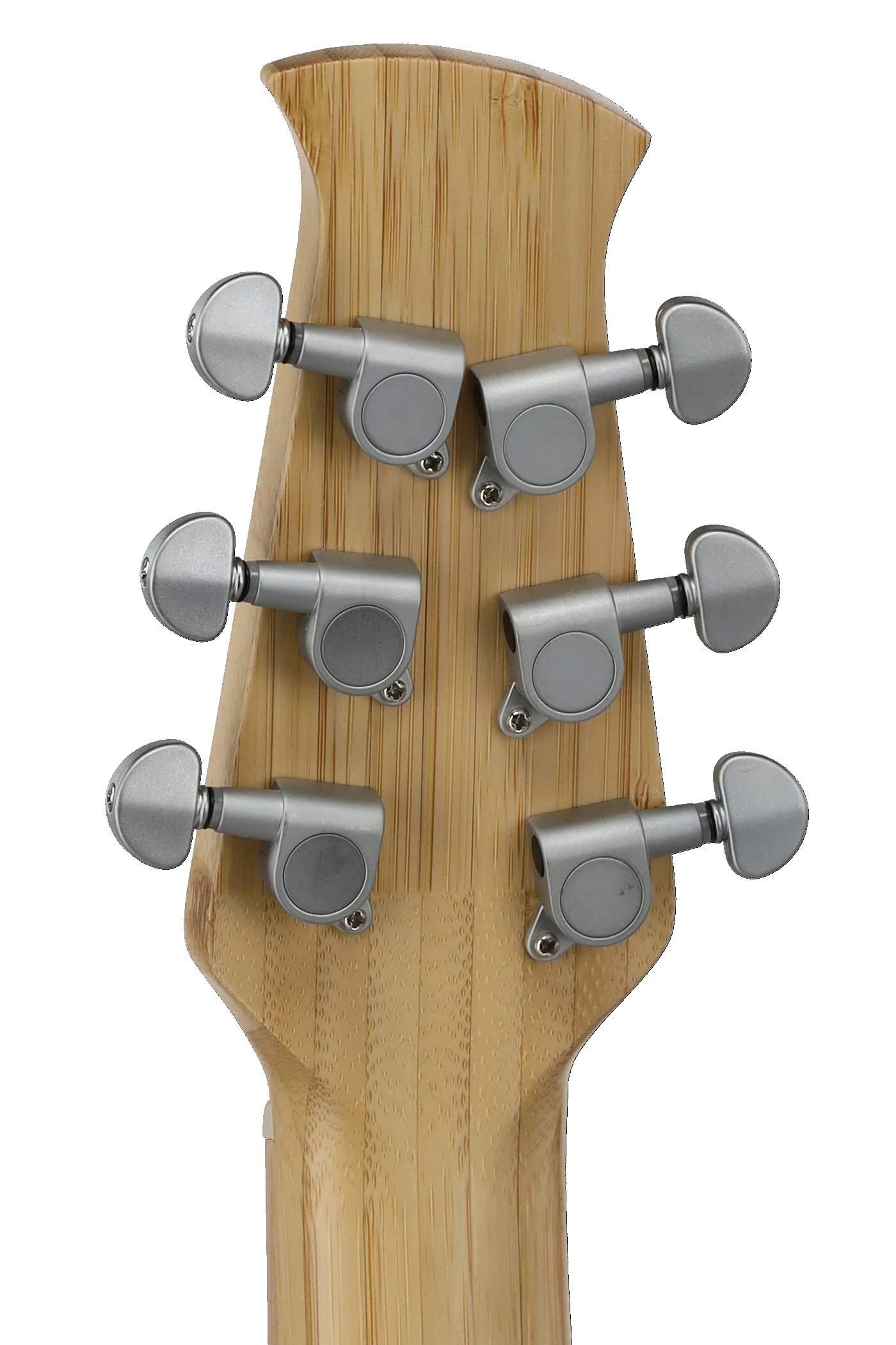 Applause Chitarra acustica AEO-69-6PS Jump Blank Canvas