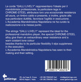 Galli Lively LE520 Mandolino Crome Steel Light - foto 3