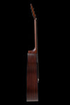 Applause Chitarra acustica Wood Classics AAD96-M Mahogany Natural Matte
