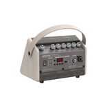 Aroma AG-15A Mini Live Amplificatore per Chitarra Acustica