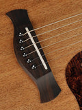 Richwood A-50-E dettaglio 6266