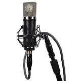 Lauten Audio LA-220 Microfono Condensatore Da Studio